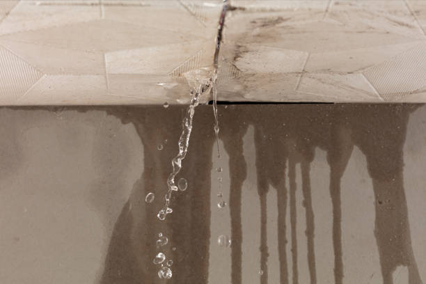 Professional Flood Damage Cleanup technician working in Wonder Lake, IL